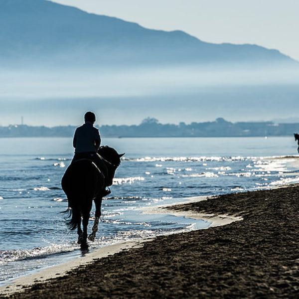 Walk along the beach riding a Horse in Marbella (Summer)