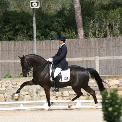 Marbella-Horses---Quienes-somos---Joaquin-Legarre-(2)