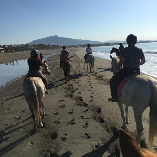 Paseo a caballo por las Playas de Marbella (Temp Verano)
