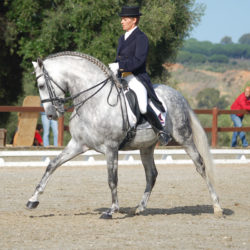 Marbella-Horses-Quienes-somos-Teresa-Cortés-4